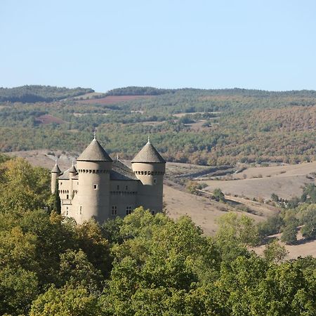 Chateau De Lugagnac 塔恩河畔里维耶尔 外观 照片