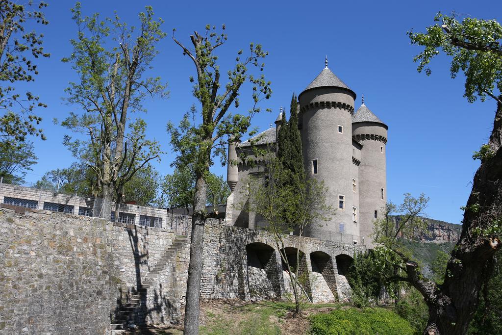 Chateau De Lugagnac 塔恩河畔里维耶尔 外观 照片